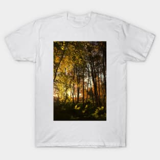 Forest Light T-Shirt